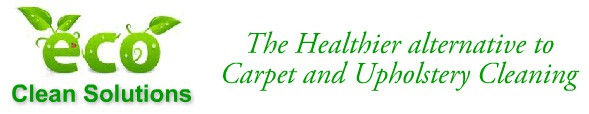 Eco Clean Solutions