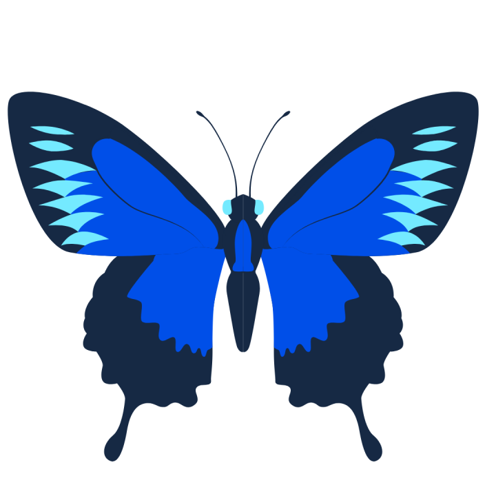 Butterfly Vision Laser Eye Surgery Clinic